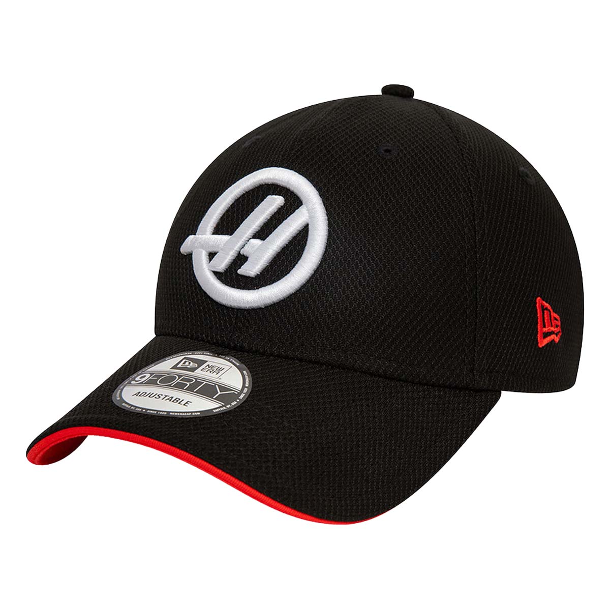 Haas Racing F1 2024 Team