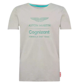 Aston Martin Cognizant F1 Men's Lifestyle T-Shirt - Grey
