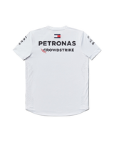 Mercedes AMG Petronas 2023 Men's Driver T-Shirt