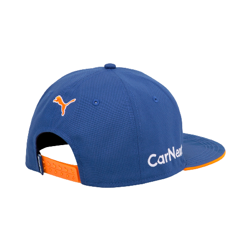 Max verstappen flat cap shop